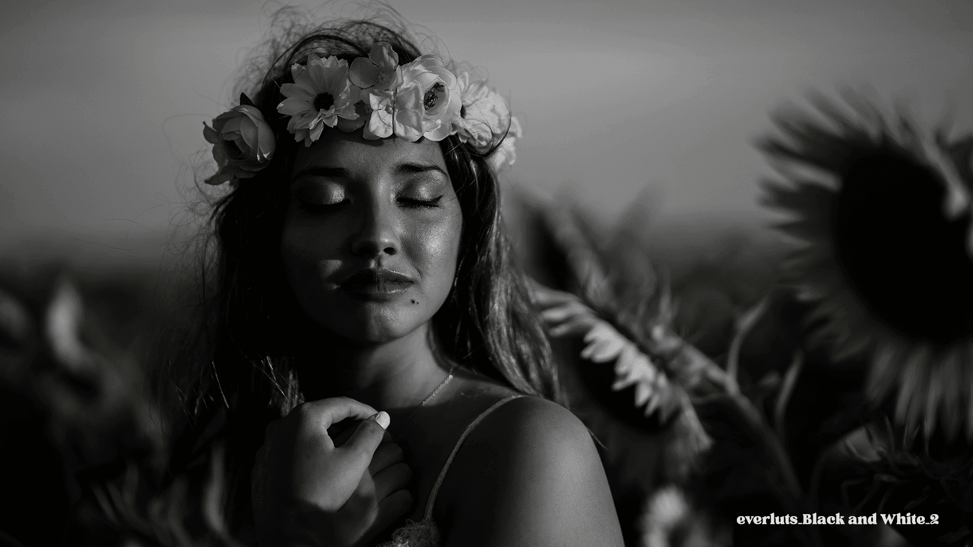 Explore the Frames - Everluts Black and White 2