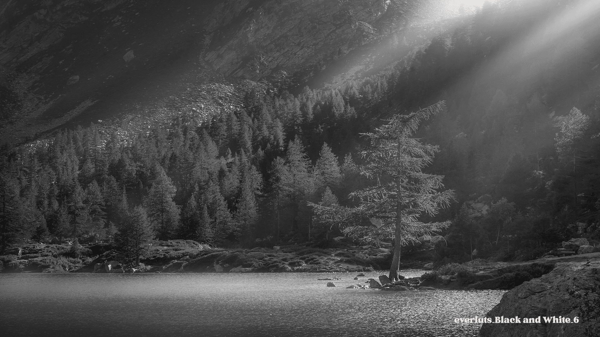 Everluts Black and White