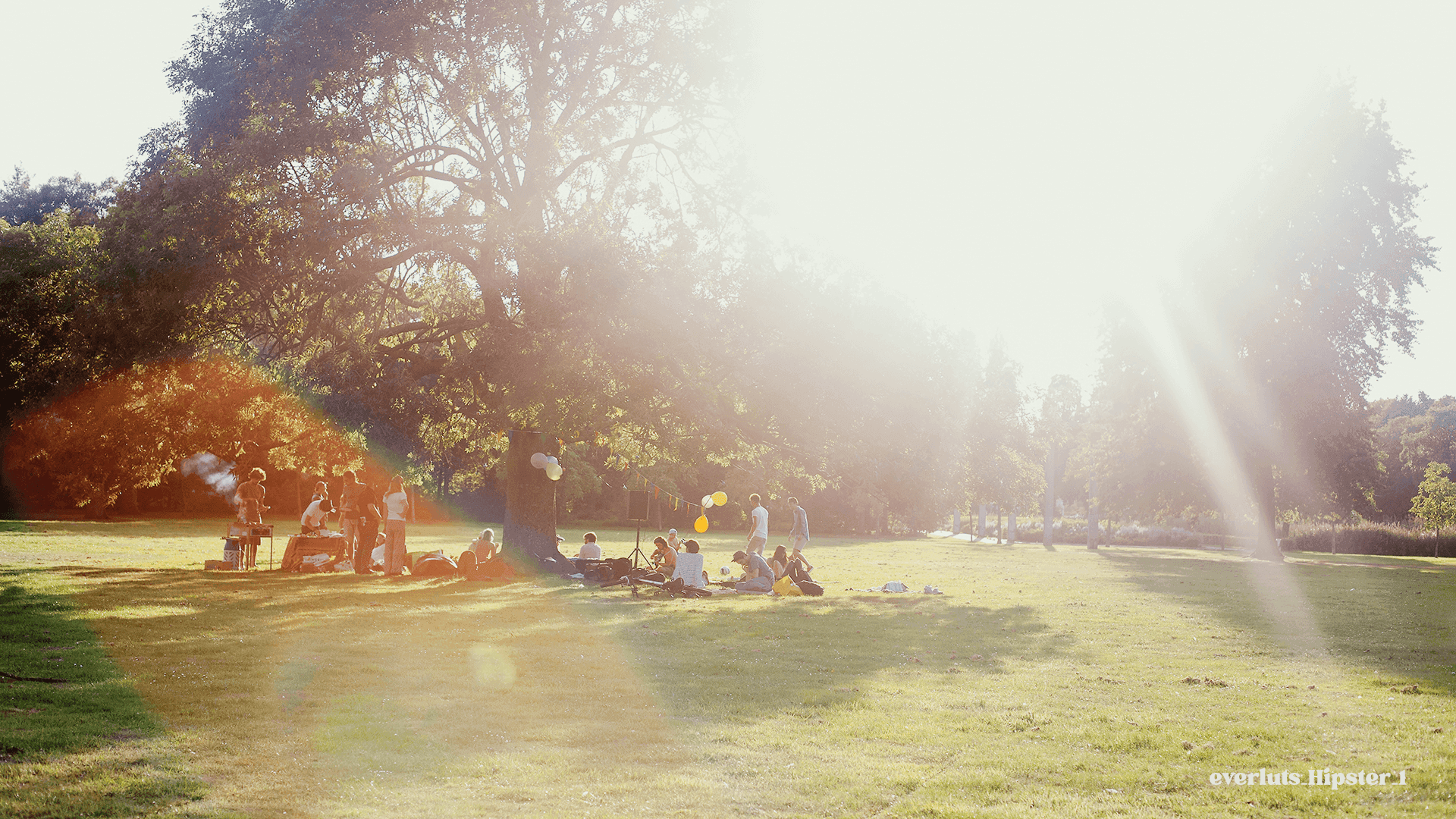 Explore the Frames - Everluts Hipster 1