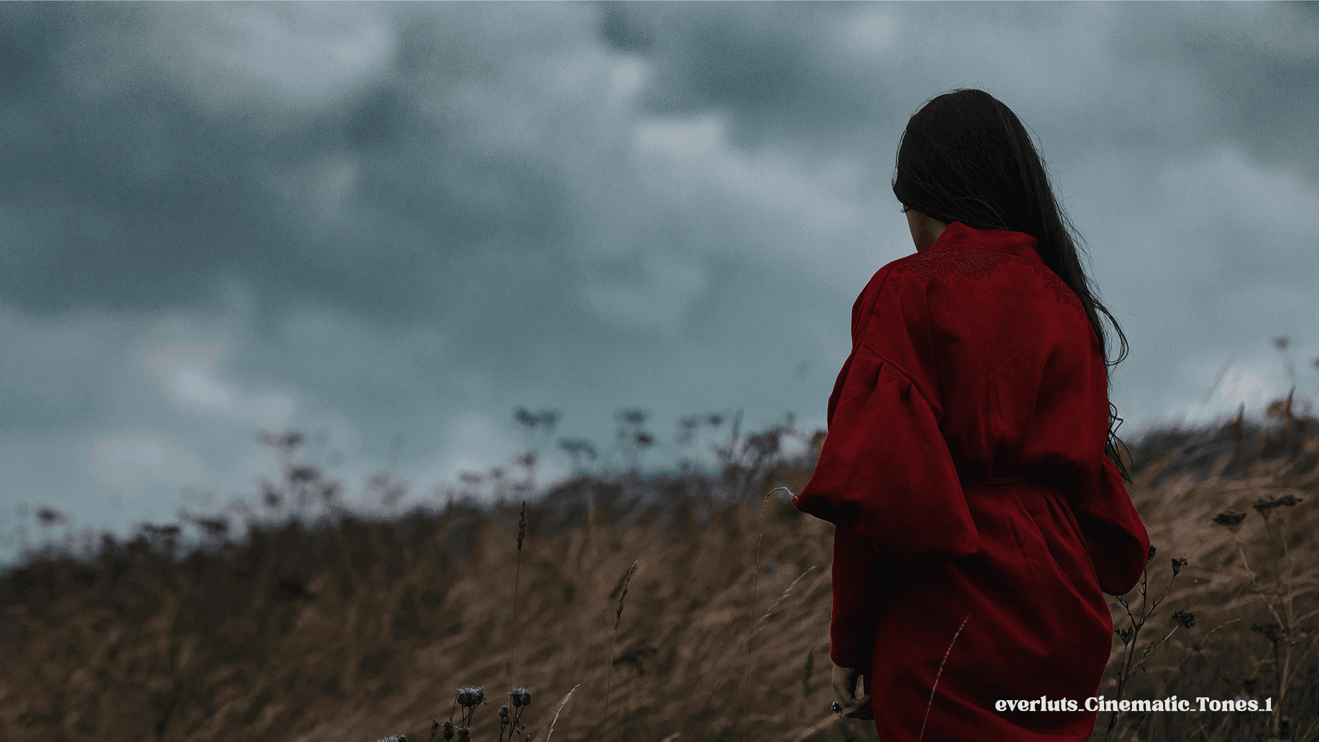 Explore the Frames - Everluts Cinematic Tones 1