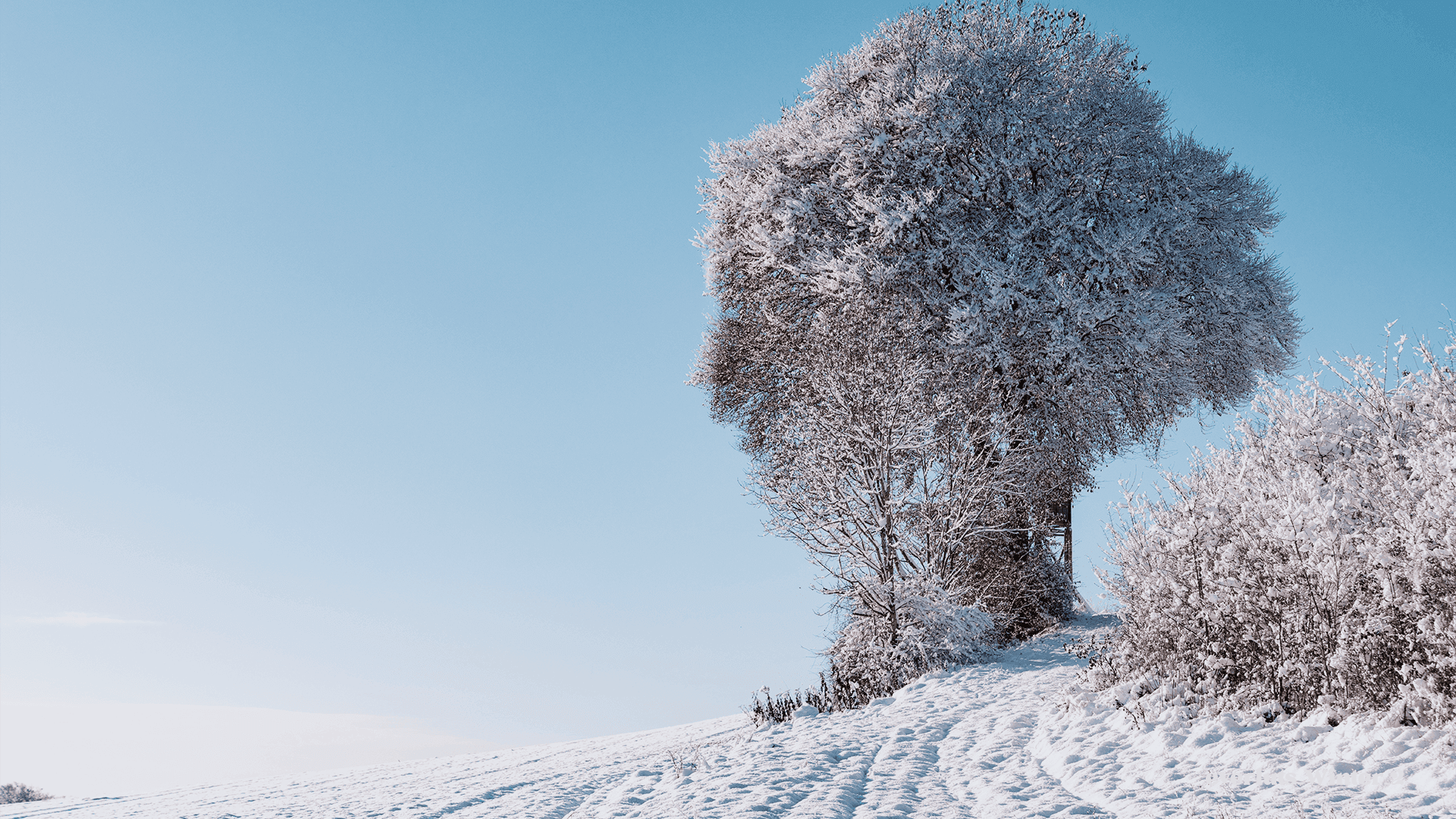 Explore the Frames - Everluts Winter 2