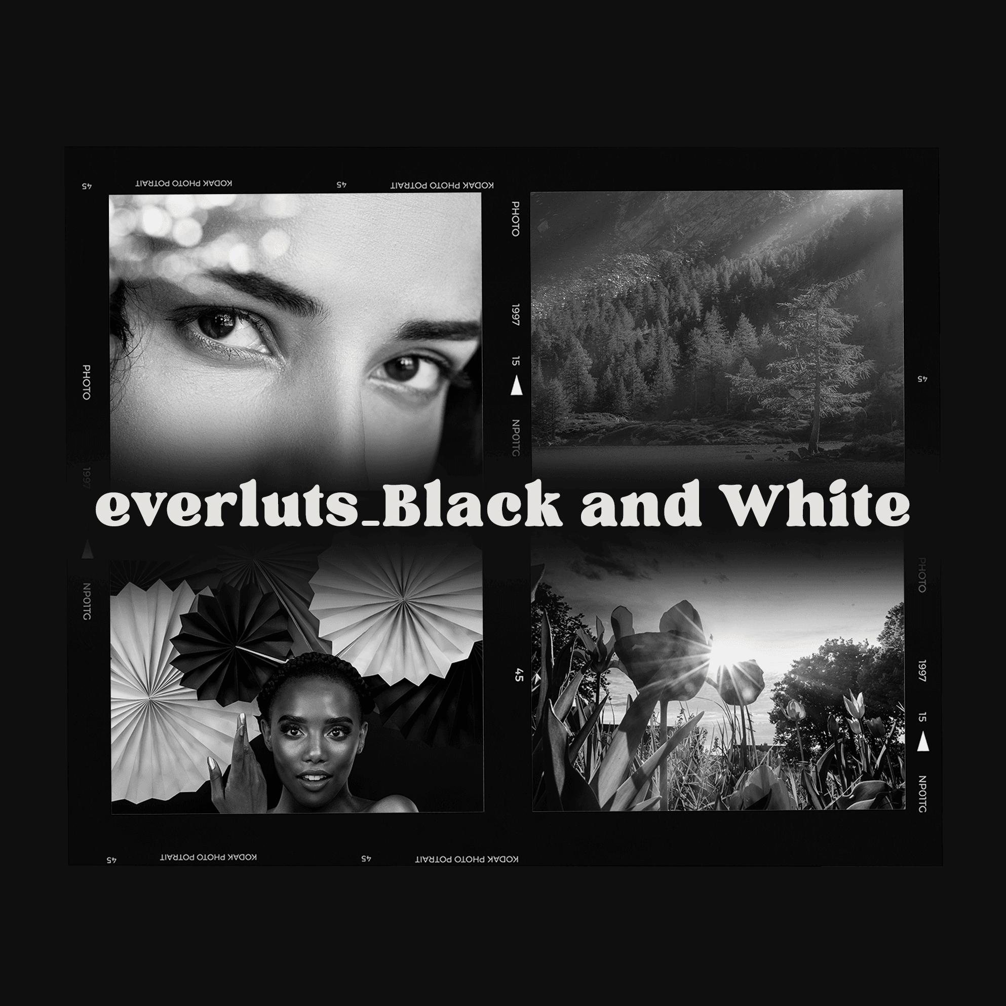 Everluts Black and White